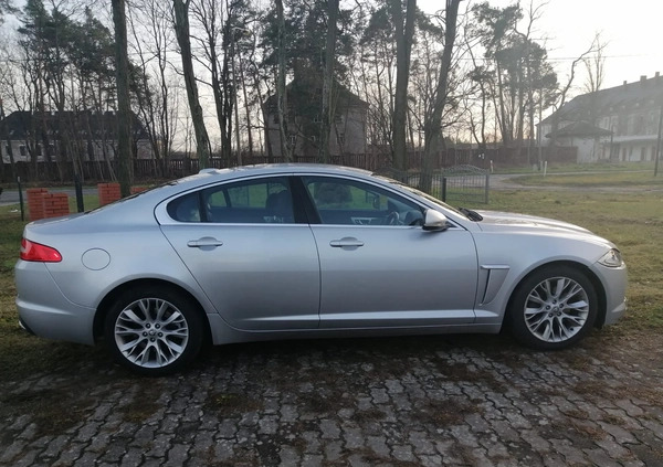 Jaguar XF cena 27900 przebieg: 220000, rok produkcji 2012 z Gubin małe 596